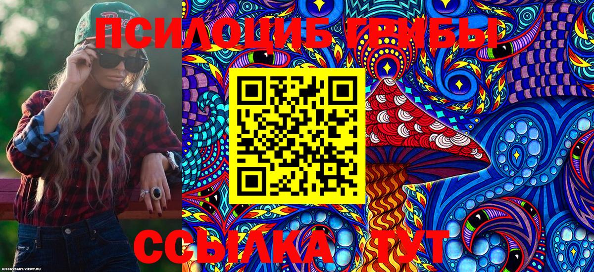 Псилоцибиновые грибы Psilocybe Шелехов